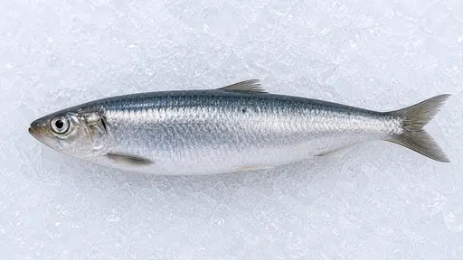 Hering