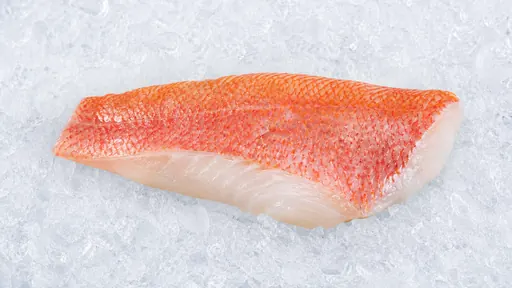 Rotbarsch Filet