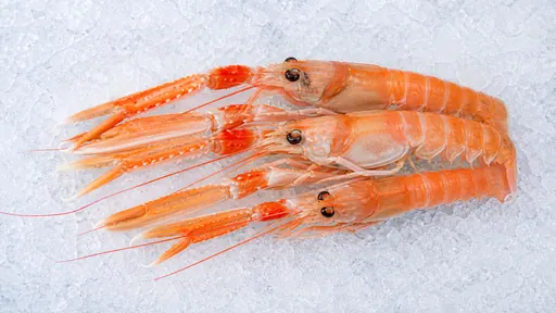 Scampi